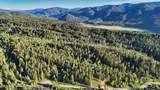 TBD Caribou Forest Cir - Photo 6