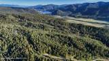TBD Caribou Forest Cir - Photo 8