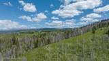 TBD Deer Haven 40 Ac Road - Photo 1
