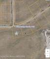 8859 Fawn Ridge Rd - Photo 5