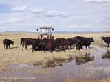 138-2 Forty Rod Road - Photo 77