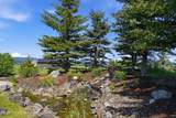 47 Holly Drive - Photo 51