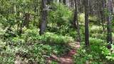 935 Snow King Drive - Photo 21