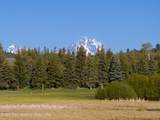 27545 Buffalo Fork Road - Photo 4