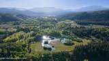 27545 Buffalo Fork Road - Photo 8