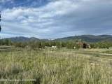 384 Palisade Trail - Photo 6
