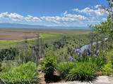 9595 River Rim Road - Photo 1