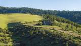 501 Big Ridge Road - Photo 47