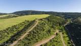 501 Big Ridge Road - Photo 56