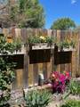309 Spruce Street - Photo 3