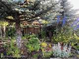 309 Spruce Street - Photo 7