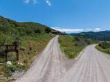 1901 Narrows Willow Creek Rd - Photo 66