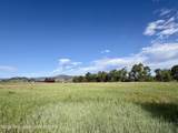 989 Dry Creek Road - Photo 126