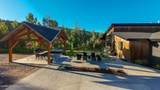 340 Hitching Rail Road - Photo 57
