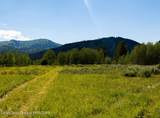 985 Elk Ridge Road - Photo 2