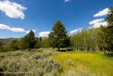 985 Elk Ridge Road - Photo 4