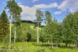 820 Elk Ridge Road - Photo 3