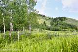 820 Elk Ridge Road - Photo 6