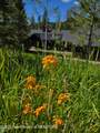 5727 Forest Ridge Road - Photo 79