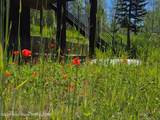 5727 Forest Ridge Road - Photo 80