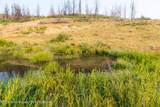 TRACT 17 Fisherman Creek Road - Photo 11