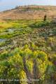 TRACT 17 Fisherman Creek Road - Photo 14