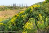 TRACT 17 Fisherman Creek Road - Photo 34