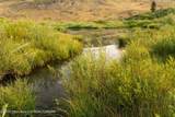 TRACT 17 Fisherman Creek Road - Photo 9