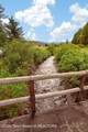 400 County Road 128 - Photo 15