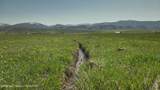  Wy-238 - Photo 71