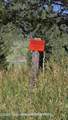 LOT 38 Chokecherry Drive - Photo 3