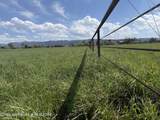  Wild Springs Lane - Photo 5