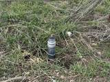  Wild Springs Lane - Photo 7