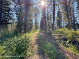 80 ACRES Co Rd 126 - Photo 15