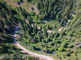 80 ACRES Co Rd 126 - Photo 3