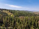 80 ACRES Co Rd 126 - Photo 33