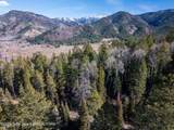 80 ACRES Co Rd 126 - Photo 6
