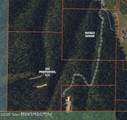 80 ACRES Co Rd 126 - Photo 7