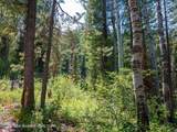 80 ACRES Co Rd 126 - Photo 9