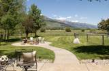 5450 Shoshone Drive - Photo 8
