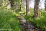 TBD Shady Grove Lane - Photo 4