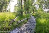 TBD Shady Grove Lane - Photo 5