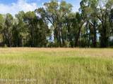 TBD Shady Grove Lane - Photo 6