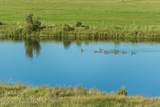 TBD Buckboard Drive - Photo 8