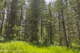 11559 Timberwolf Way - Photo 5