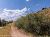 20.42 Acres Swift Creek Drive - Photo 15
