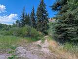 20.42 Acres Swift Creek Drive - Photo 36