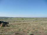 TBD Pocket Creek 23-127 Road - Photo 3