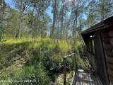 3905 North Fork Fall Creek Road - Photo 24