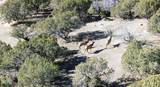 30236 Us Hwy 91 - Photo 11